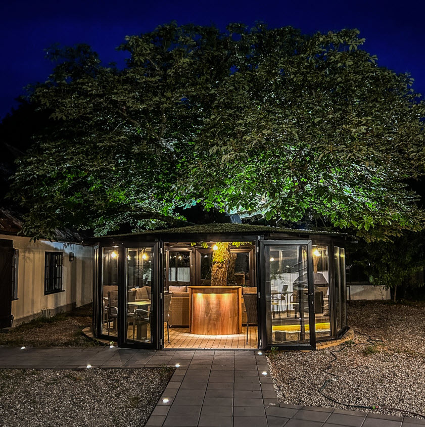 Bar during night